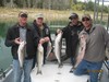 (10/19/2014) - Nice Striped Bass